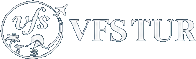 VFS TUR